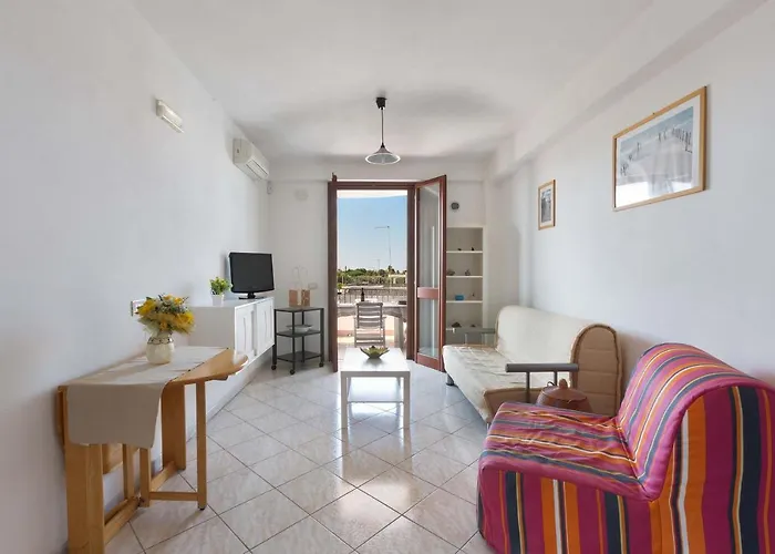 Blumer By Barbarhouse *