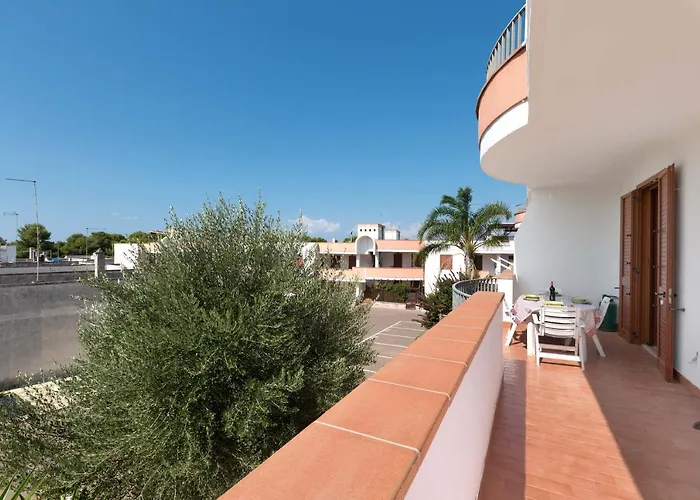 Blumer By Barbarhouse